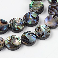 Natural Abalone Shell/Paua Shell Beads Strands&nbsp;X-SSHEL-G003-5-10x3mm