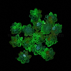 Luminous Transparent Resin Decoden Cabochons&nbsp;RESI-D013-06B