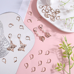 60Pcs 304 Stainless Steel Leverback Earring Findings&nbsp;STAS-SC0006-44
