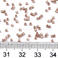 FGB 11/0 Grade A Baking Paint Glass Seed Beads&nbsp;SEED-S030-1029