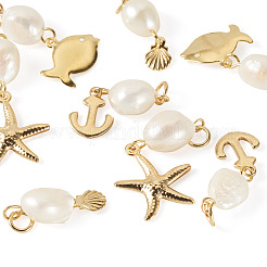 8Pcs 4 Styles Natural Cultured Freshwater Pearl & 304 Stainless Steel Pendants&nbsp;PALLOY-TAC0268