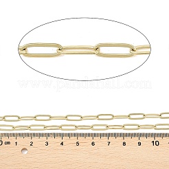 304 Stainless Steel Paperclip Chains&nbsp;CHS-P025-01G