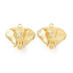 Brass Pendants&nbsp;KK-B062-01G