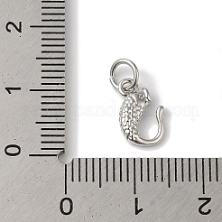Rack Plating Brass Pendants&nbsp;KK-B092-06P