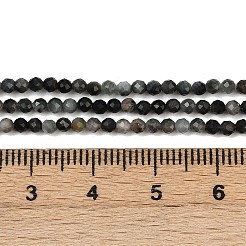 Natural Eagle Eye Stone Beads Strands&nbsp;G-RM250101-E6