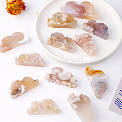 Natural Cherry Blossom Agate Display Decorations&nbsp;G-PW0004-01A