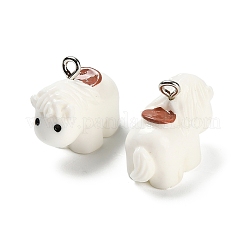 Opaque Resin Pendants&nbsp;FIND-I069-05
