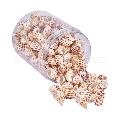 Spiral Shell Pendants&nbsp;SSHEL-PH0001-03-1