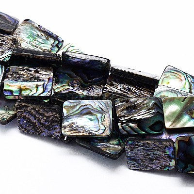 Natural Paua Shell Beads Strands&nbsp;SSHEL-J047-10B-01-1