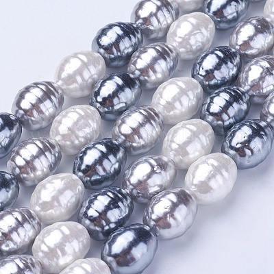 Shell Pearl Beads Strands&nbsp;BSHE-P030-03C-1
