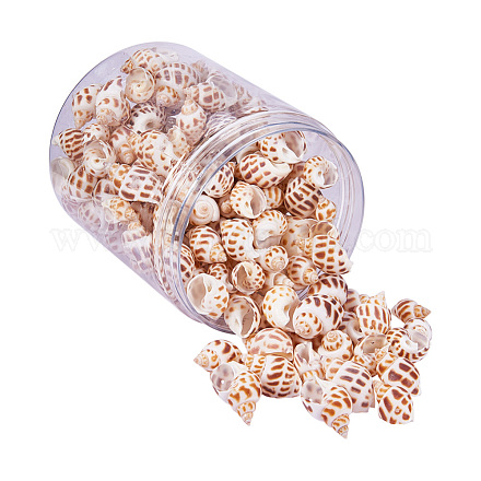 Spiral Shell Pendants SSHEL-PH0001-03-1