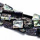 Natural Paua Shell Beads Strands&nbsp;SSHEL-J047-10B-01-1