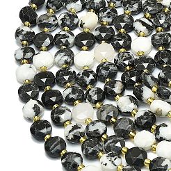 Natural Australia Zebra Jasper Beads Strands&nbsp;G-C116-A60-02
