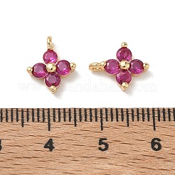SHEGRACE Brass Cubic Zirconia Charms&nbsp;XGRQ4H893-680G-C