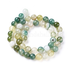 Natural Striped Agate/Banded Agate Beads Strands&nbsp;X-G-G582-8mm-47