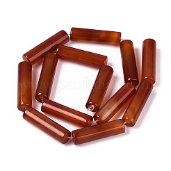 Dyed Natural Red Agate Beads Strands&nbsp;G-T144-30A-01