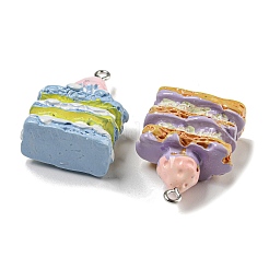 Imitation Food Resin Pendants&nbsp;RESI-E054-01P