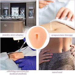 Soft Silicone Belly Button Flexible Model Body Part Displays with Acrylic Stands&nbsp;ODIS-WH0002-21
