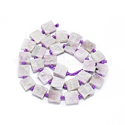 Natural Kunzite Beads Strands&nbsp;G-F725-25