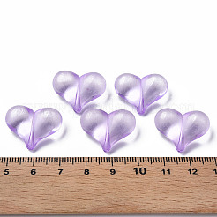 Transparent Acrylic Beads&nbsp;LS-MACR-S373-70-B14