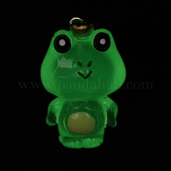 Luminous Transparent Resin Pendants&nbsp;LS-RESI-SZC0004-17A