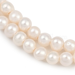 Natural Cultured Freshwater Pearl Beads Strands&nbsp;PEAR-I007-07O-13