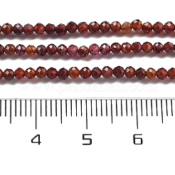 Natural Garnet Beads Strands&nbsp;G-H079-A01-01A