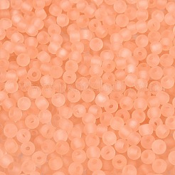 FGB Frosted Transparent Glass Seed Beads&nbsp;SEED-N013-02A-04