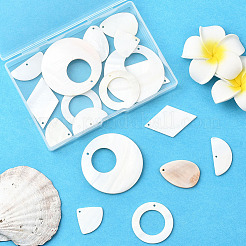 24Pcs 6 Styles Natural Freshwater Shell Pendants&nbsp;SHEL-SC0002-01