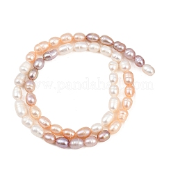 Three Color Natural Cultured Freshwater Pearl Beads Strands&nbsp;PA-CBAFEE8-04B