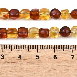 Two Tone Natural Amber Beads Strands&nbsp;G-K426-A03-05