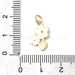 Brass Pave Clear Cubic Zirconia Pendants&nbsp;KK-G554-07G-03