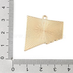Sports Alloy Enamel Pendants&nbsp;LS-ENAM-I074-01G-13