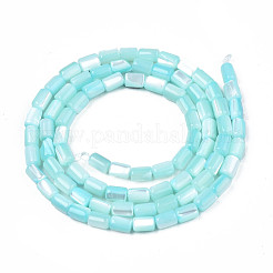 Natural Trochid Shell/Trochus Shell Beads Strands&nbsp;SHEL-N003-26-B09