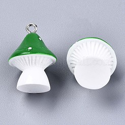 Opaque Resin Pendants&nbsp;X-RESI-T028-69B