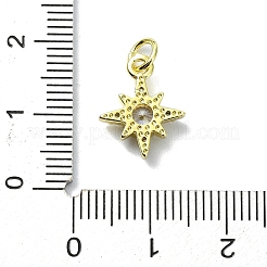 Brass Micro Pave Clear Cubic Zirconia Charms&nbsp;KK-H475-59G-06