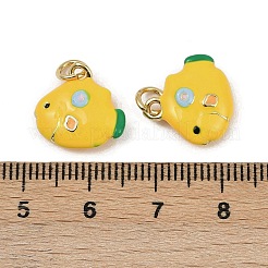 Brass Enamel Charms&nbsp;KK-I358-004G