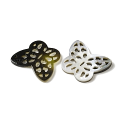 Natural Black Lip Shell Cabochons&nbsp;SSHEL-M022-23