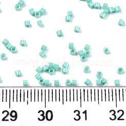 FGB 11/0 Grade A Baking Paint Glass Seed Beads&nbsp;SEED-S030-1038