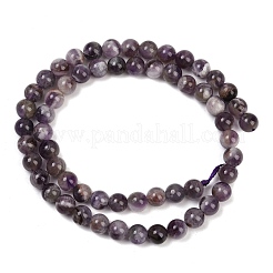 Natural Amethyst Beads Strands&nbsp;G-M445-6mm-01E