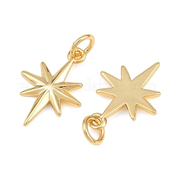Brass Pendants&nbsp;KK-L275-19G