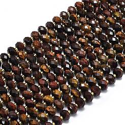 Dyed Natural Tiger Eye Beads Strands&nbsp;G-P573-A37-01