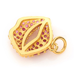Brass Micro Pave Cubic Zirconia Charms&nbsp;KK-I672-18G-A
