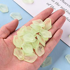 Transparent Frosted Acrylic Pendants&nbsp;MACR-S371-03A-728
