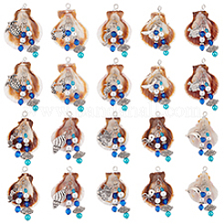20Pcs 10 Styles Shell Big Pendants&nbsp;PALLOY-PH01671