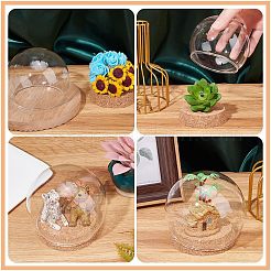 2 Sets High Borosilicate Glass Dome Cover&nbsp;DJEW-NB0001-19