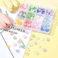 480Pcs 12 Colors Acrylic Bead Caps&nbsp;OACR-FS0002-24