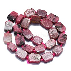 Natural Rhodonite Beads Strands&nbsp;G-K245-J17-01