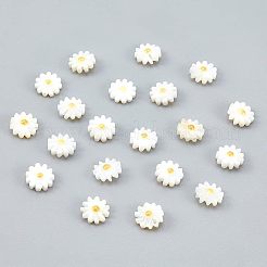 20Pcs Natural Freshwater Shell Beads&nbsp;PEAR-NB0001-14