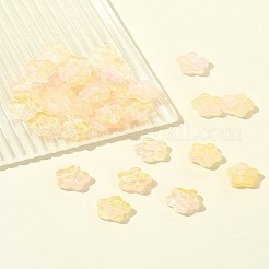 30Pcs Baking Paint Glass Beads&nbsp;GLAA-FS0001-97D